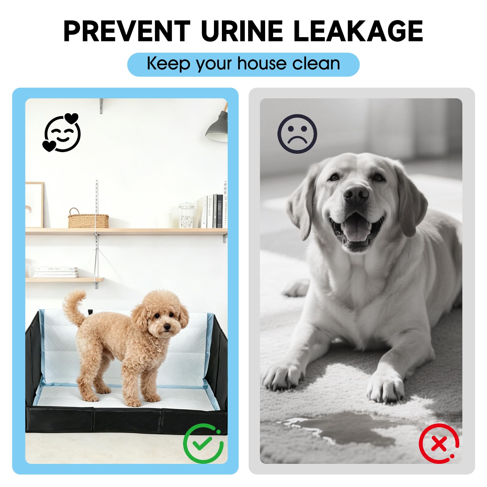 Himake mise en scène intérieur appartement montrant protection des sols