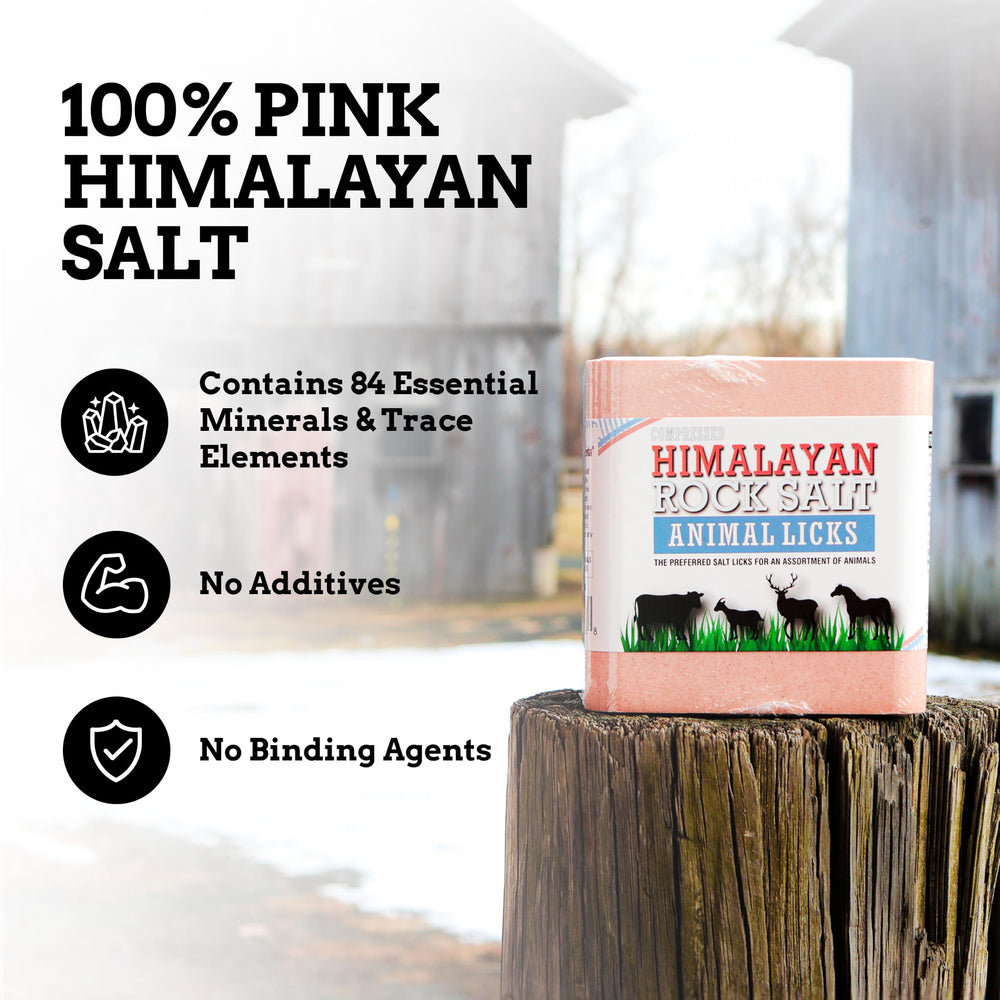Himalayan Secrets gros plan texture compacte illustrant durabilité et résistance aux intempéries