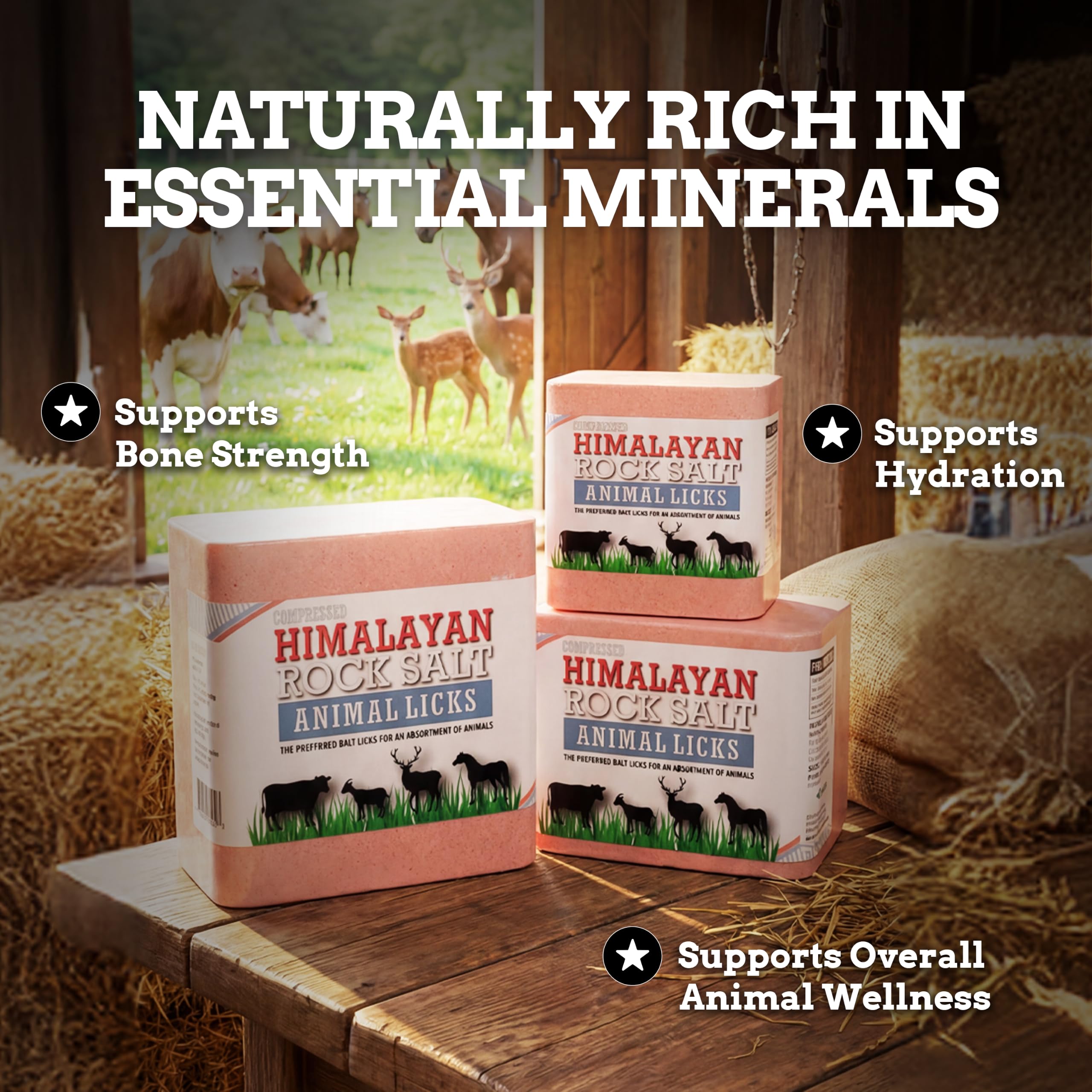 Himalayan Secrets bloc en usage par des chevaux apportant minéraux essentiels