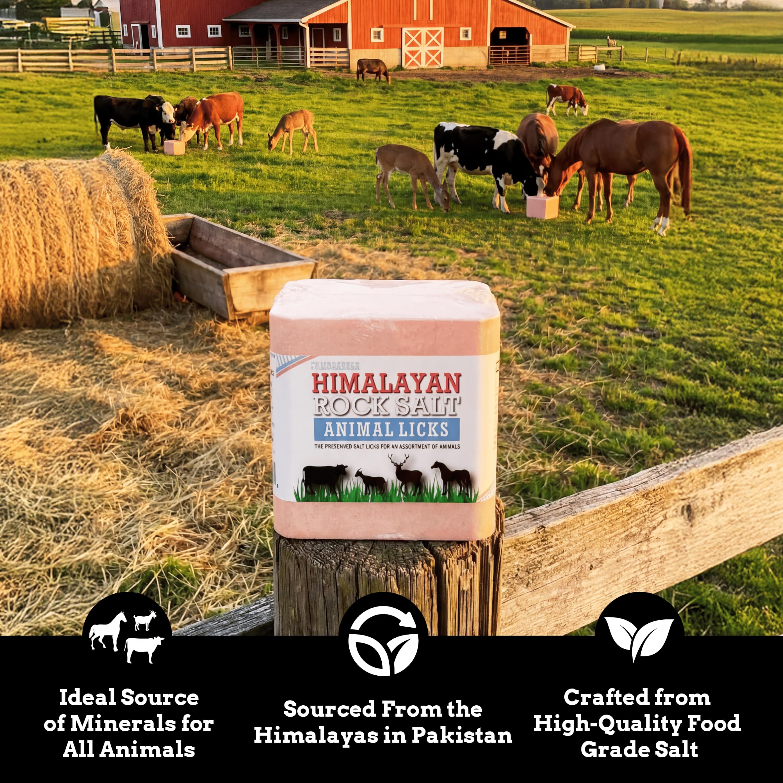 Himalayan Secrets étiquette indiquant l'origine himalayenne et sourcing durable