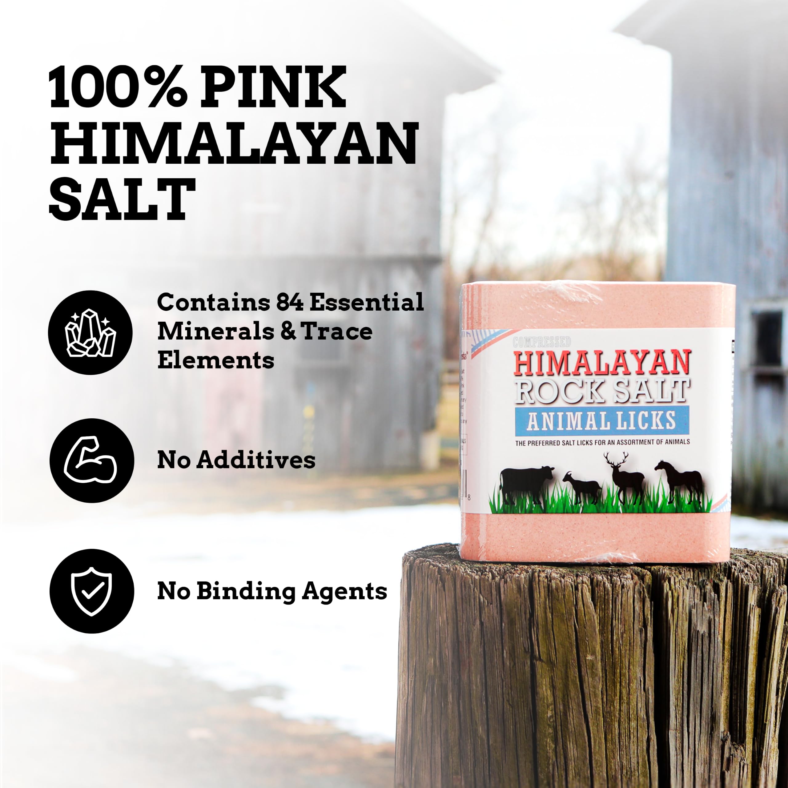 Himalayan Secrets gros plan sur la texture polie du sel garantissant durabilité