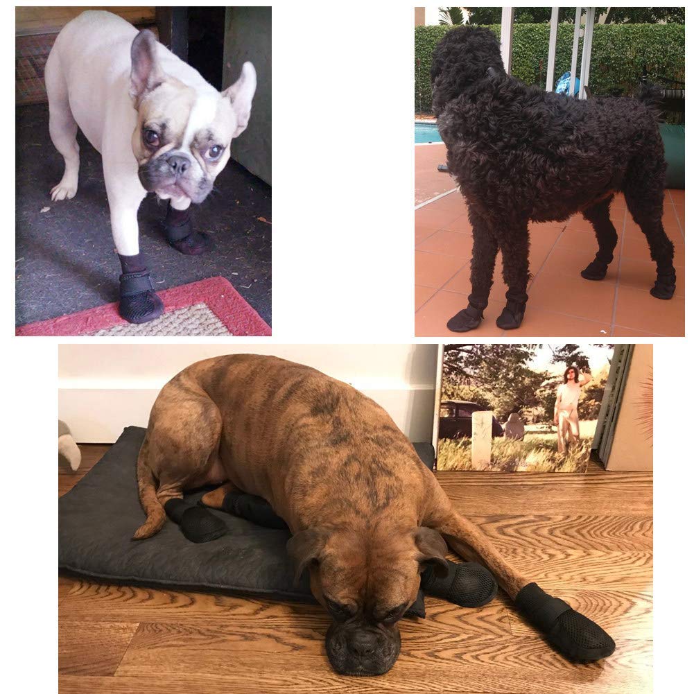 HiPaw comparaison taille montrant ajustement pour chien moyen/grand