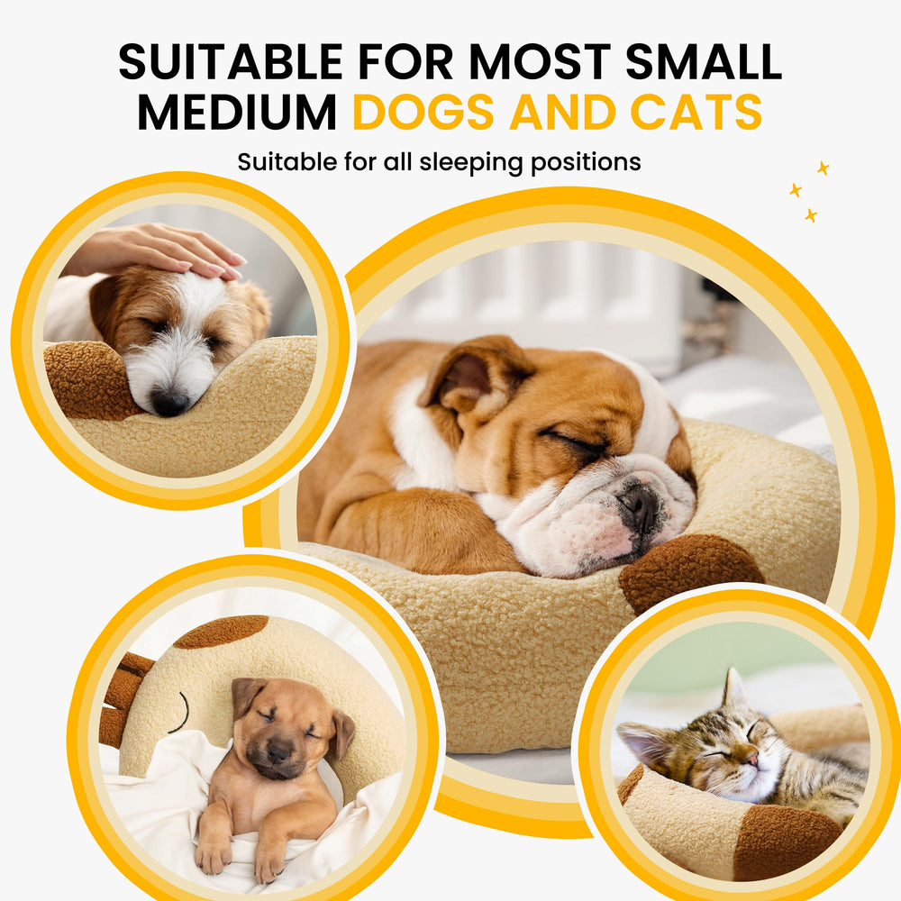 HiPetpy comparatif taille avec chien de taille moyenne pour échelle