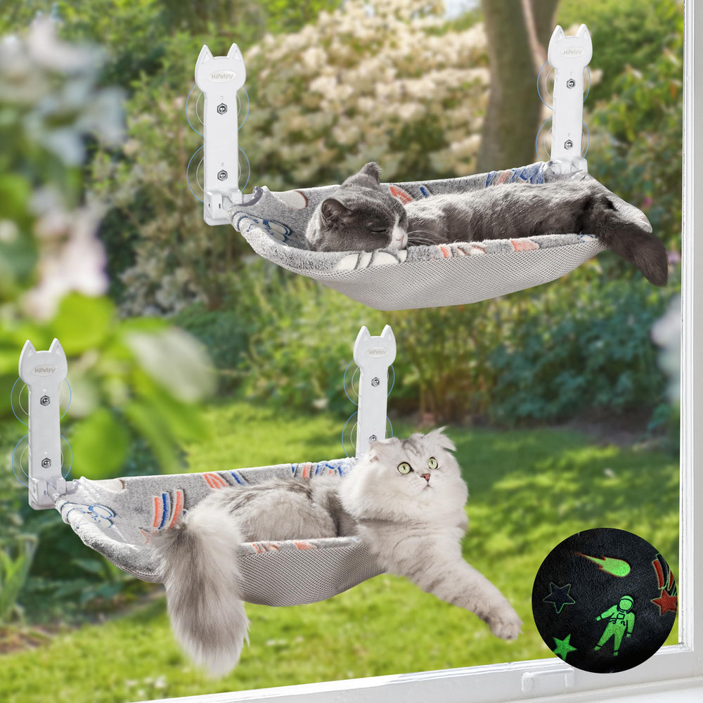 HiPetpy perche fenêtre vue avant montrant fixation stable et confort