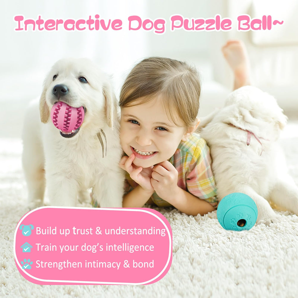 HIPPIH petit chien jouant montrant amusement et stimulation mentale