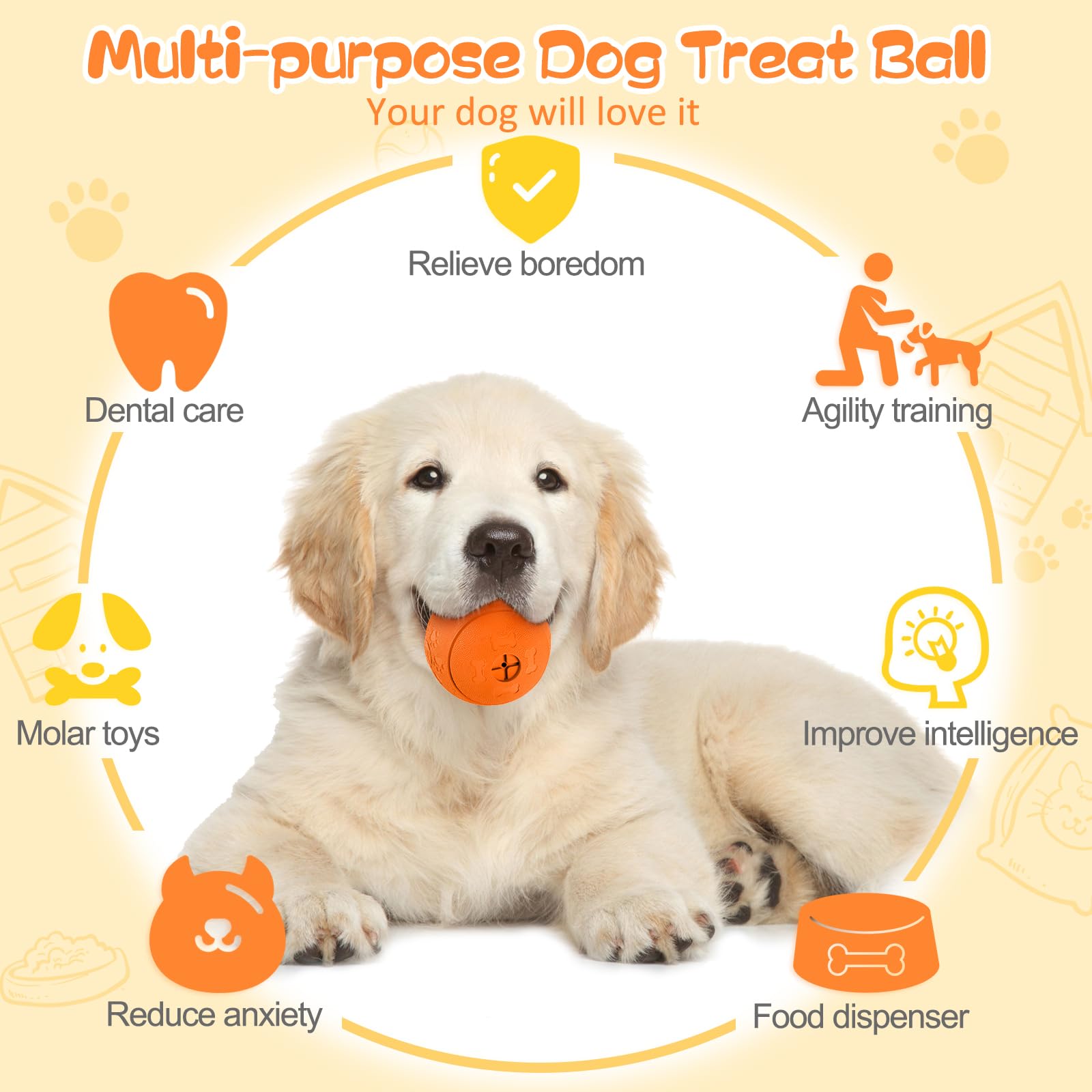 HIPPIH chien jouant avec balle illustrant stimulation et amusement