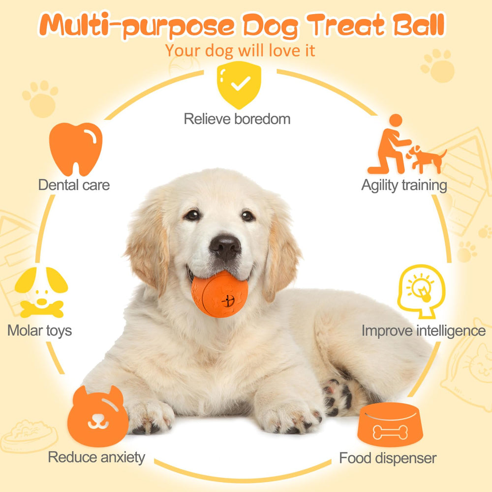 HIPPIH chien jouant avec balle illustrant stimulation et amusement