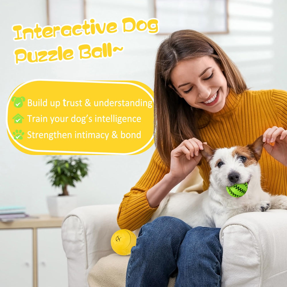 HIPPIH chien rapportant la balle montrant stimulation et activité