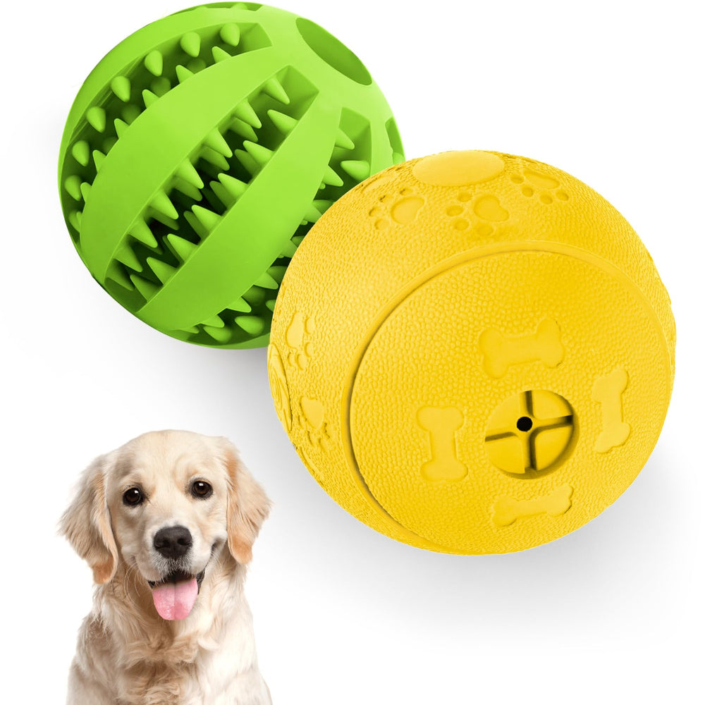 HIPPIH scène de salon interaction renforçant lien propriétaire-chien