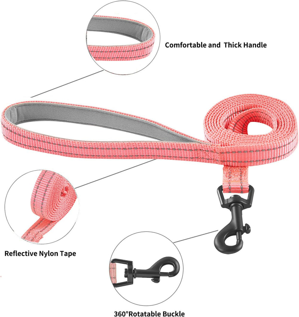 Hipubby comparaison de taille montrant ajustement et guide