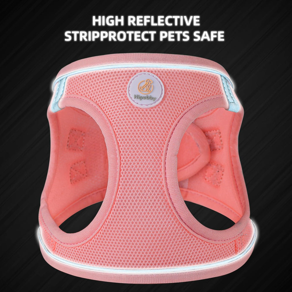 Hipubby fermeture et D-rings métalliques pour attache sécurisée