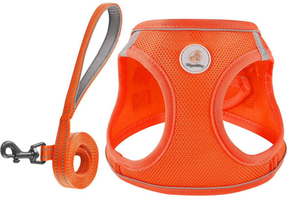 Hipubby harnais face avant montrant coupe step-in et confort