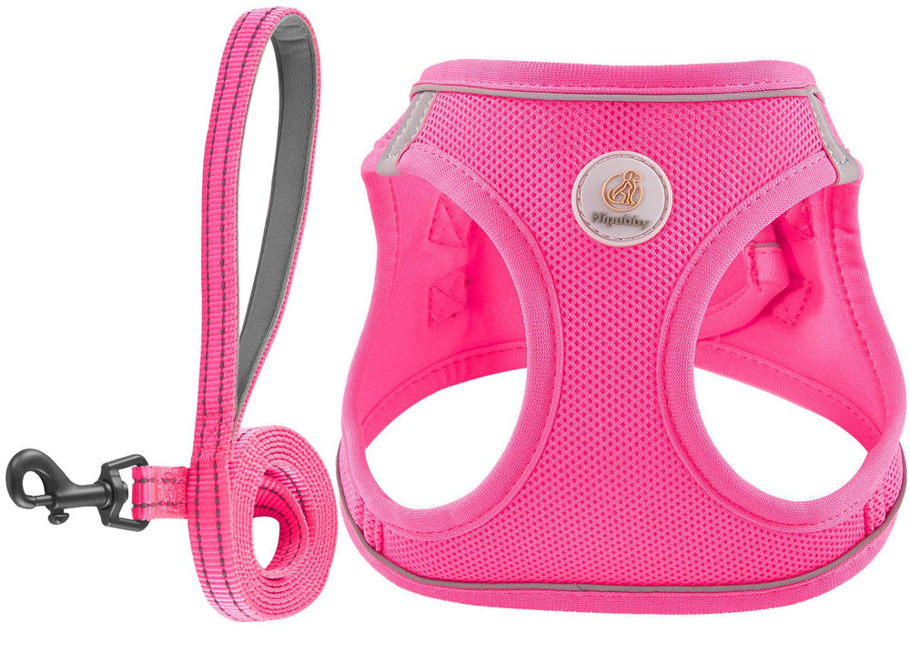 Hipubby harnais face avant montrant coupe confortable et maintien