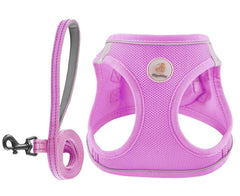 Hipubby harnais violet face avant montrant design step-in et sécurité