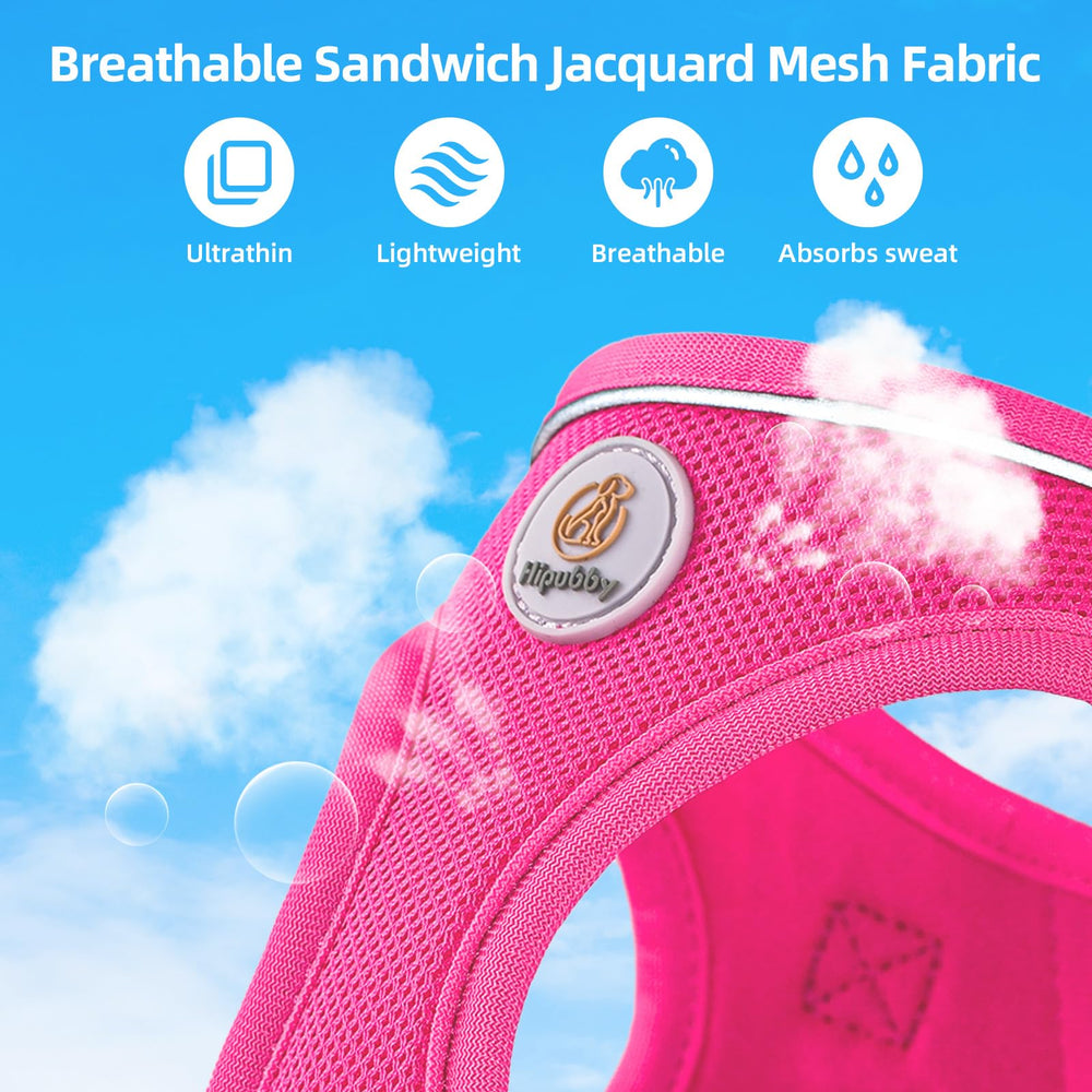 Hipubby laisse attachée au D-ring montrant sécurité et contrôle