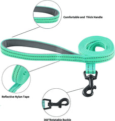 Hipubby laisse et anneau métal illustrant fixation sécurisée