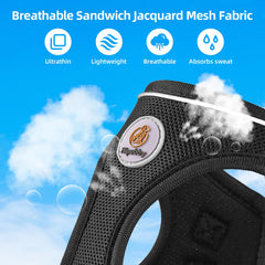 Hipubby laisse réfléchissante pliée offrant visibilité et contrôle pendant la promenade