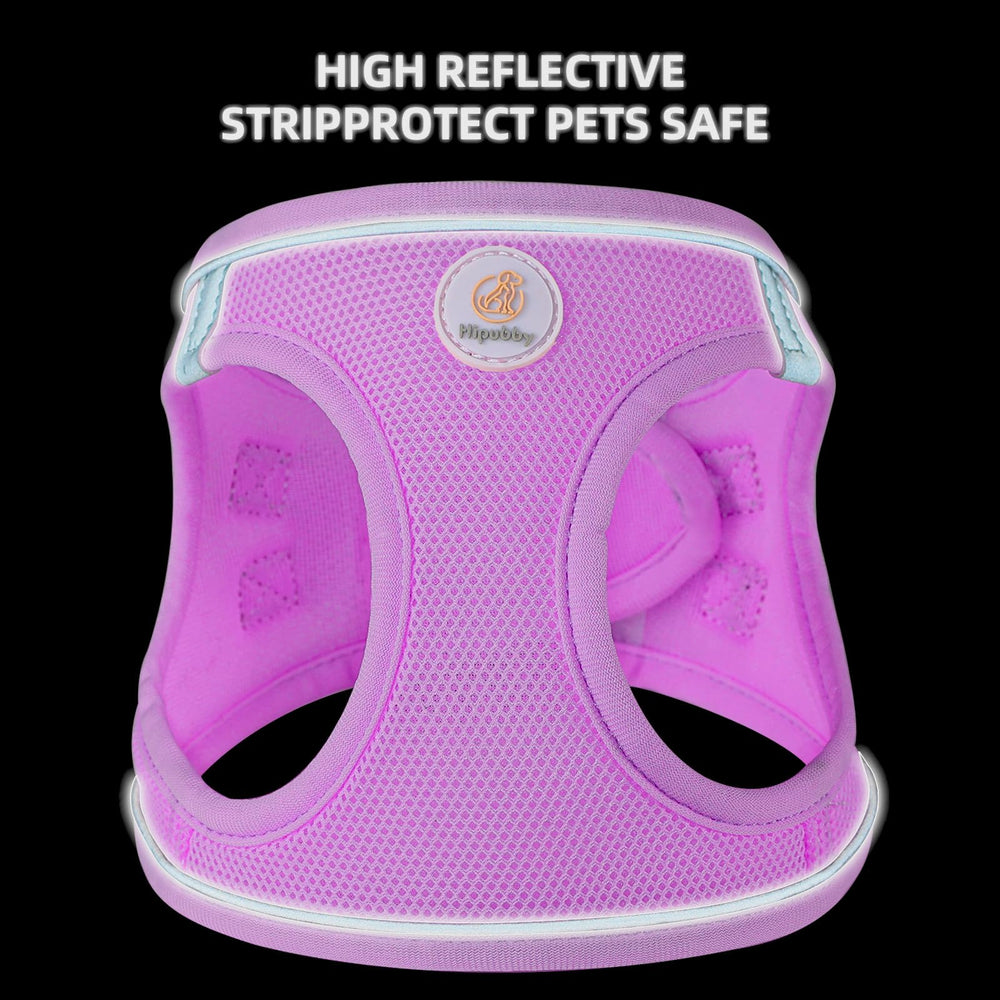 Hipubby taille et longe comparaison montrant ajustement et longueur de la laisse