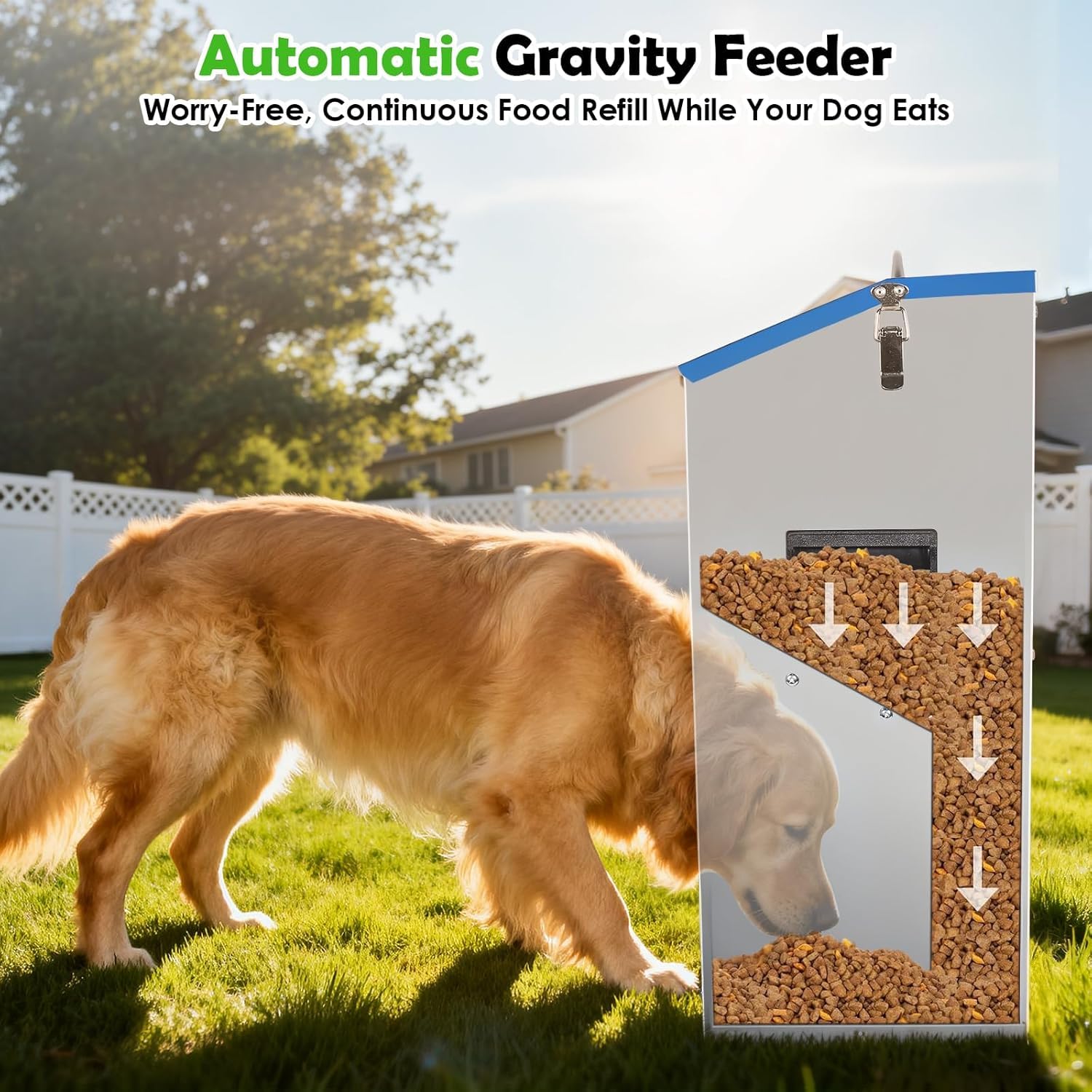 Hizmivos mangeoire en usage avec chien montrant autonomie alimentaire guidée