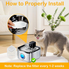 HOETEK insertion du filtre dans la fontaine montrant installation facile et gain de temps