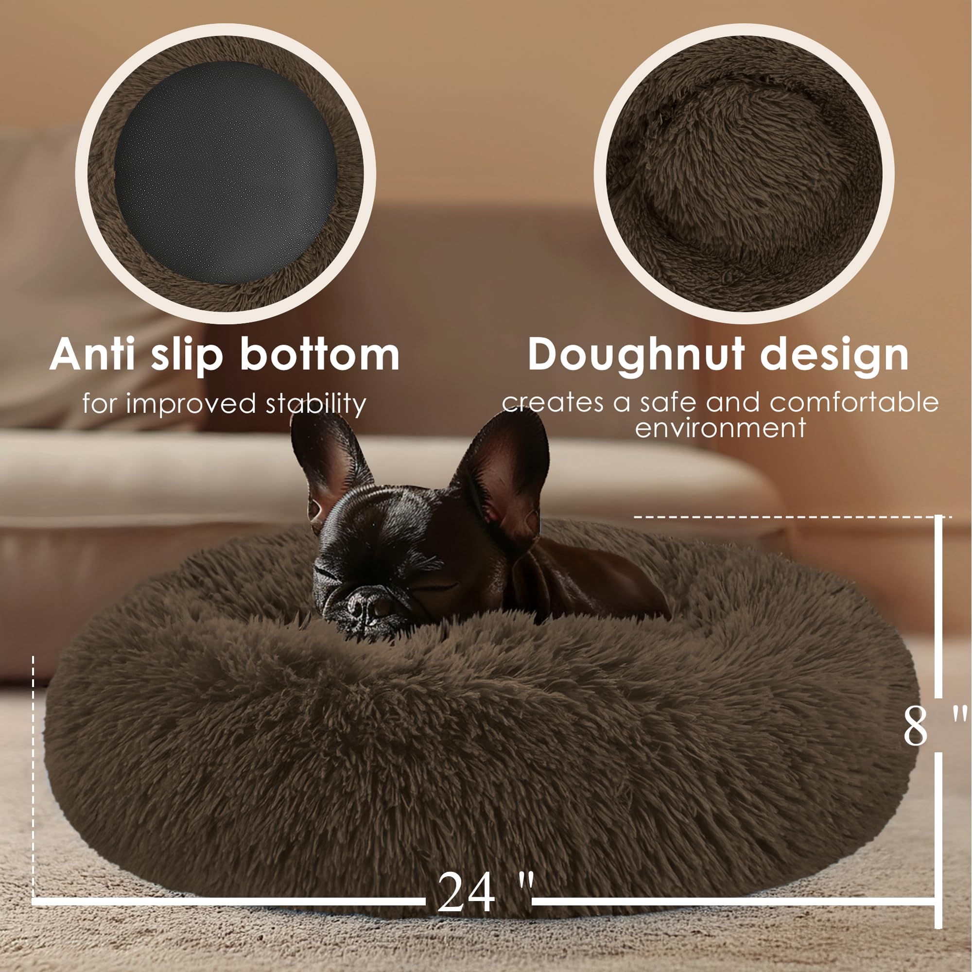 Hoewina petit chien installé dans le lit montrant apaisement et soutien