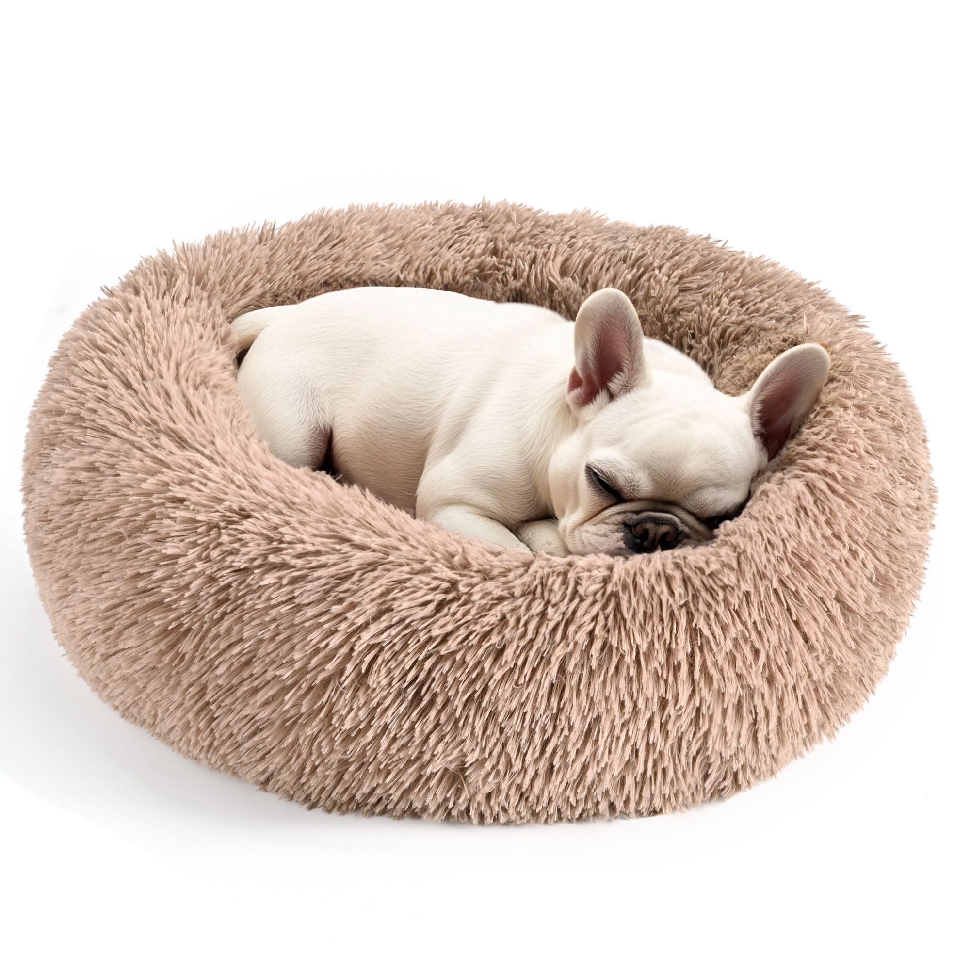 Hoewina lit donut face avant montrant confort et style camel