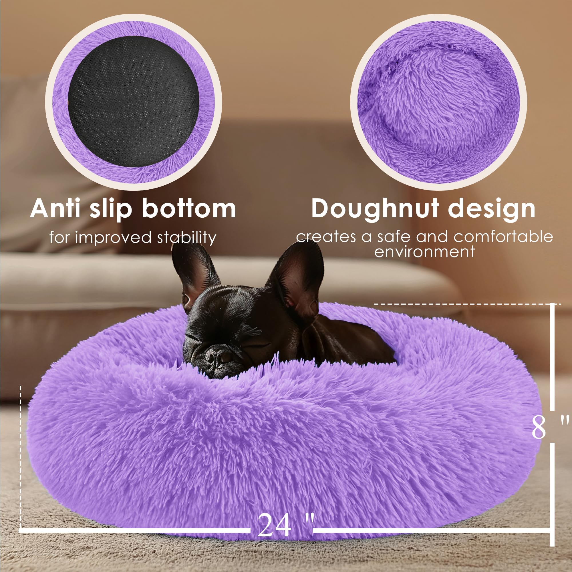 Hoewina petit chien utilisant le panier pour se détendre