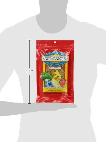 Hoiyen Lafeber Avi-Cakes perruche picorant en cage favorise alimentation équilibrée