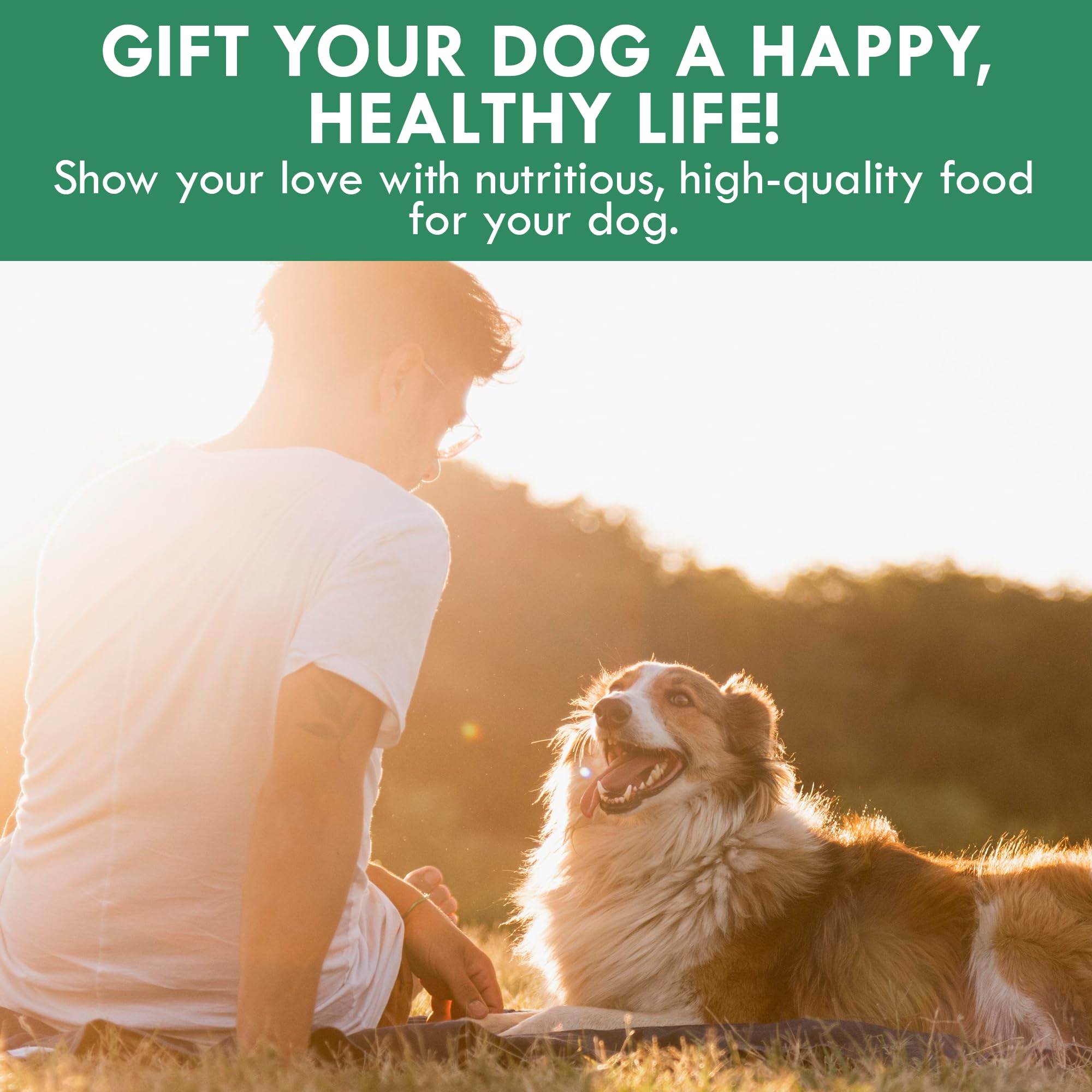 Holistic Bin chien mangeant dans une cuisine montrant bien-être et vitalité