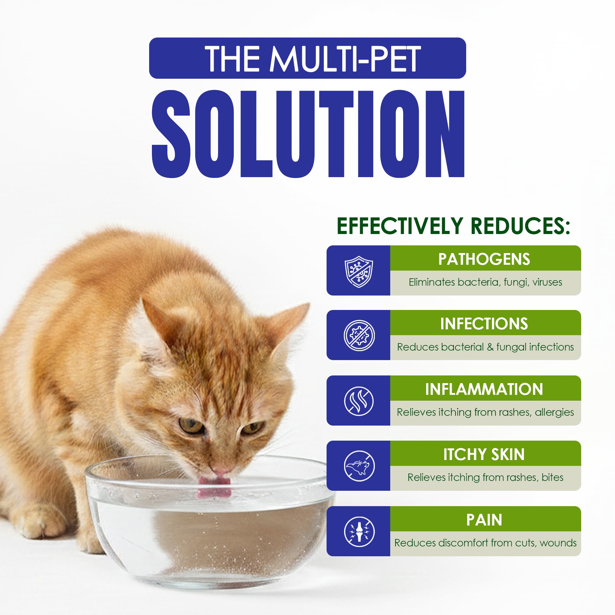 HOLISTIC PET CARE comparaison de taille montrant formats 16 oz, 32 oz, 1 gallon