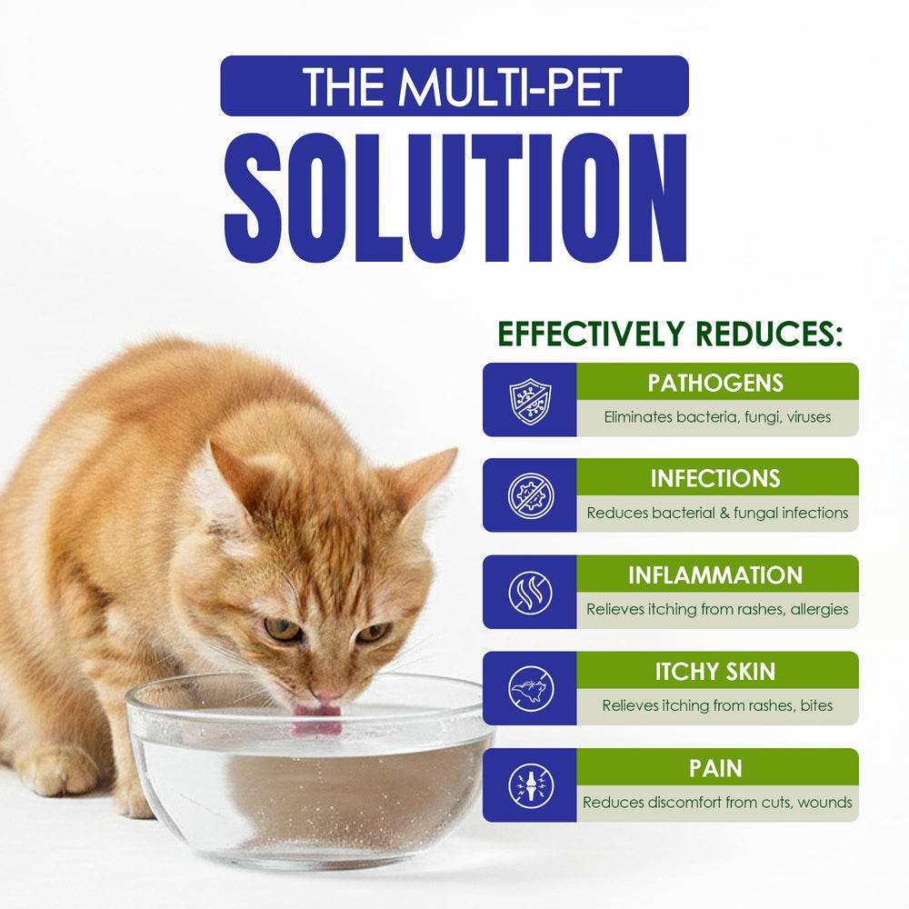 HOLISTIC PET CARE comparaison de taille montrant formats 16 oz, 32 oz, 1 gallon