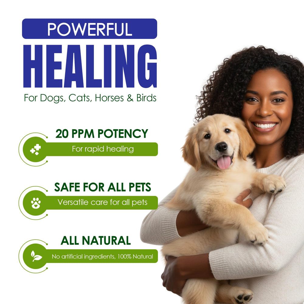 HOLISTIC PET CARE goutte appliquée sur pelage montrant facilité d'utilisation