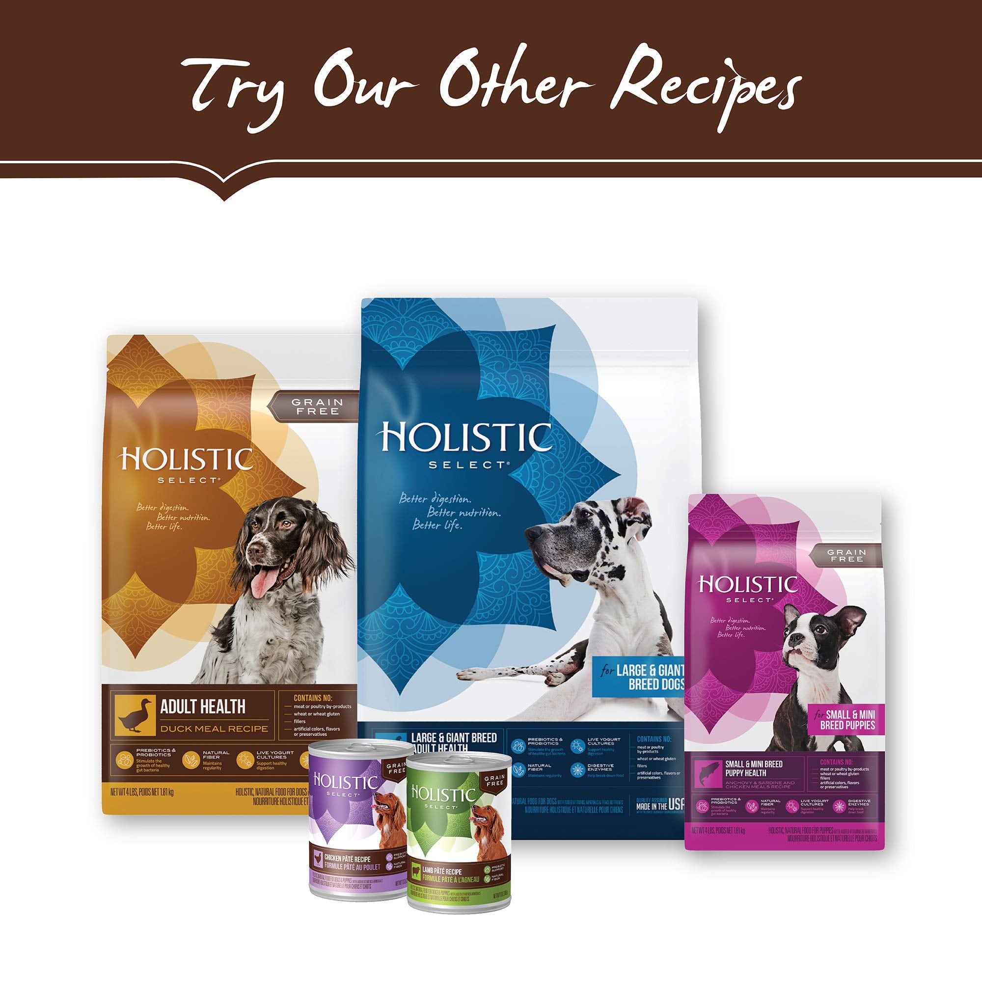 Holistic Select chien mange en extérieur démontrant plaisir et énergie