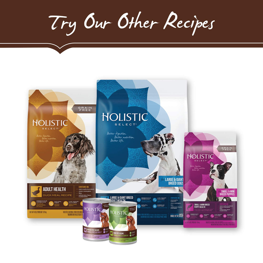 Holistic Select chien mange en extérieur démontrant plaisir et énergie