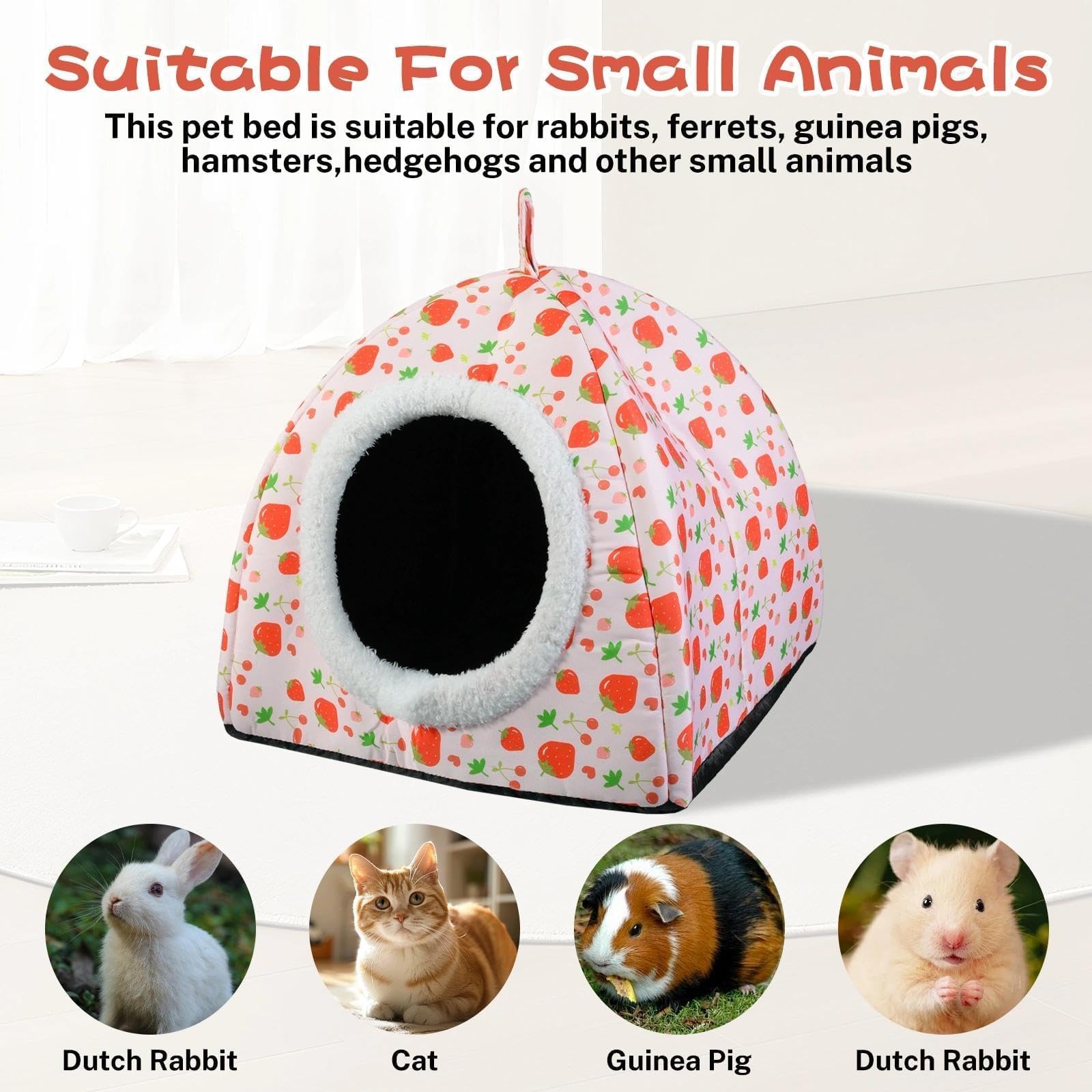 Hollima comparaison de taille montrant espace adapté aux petits animaux