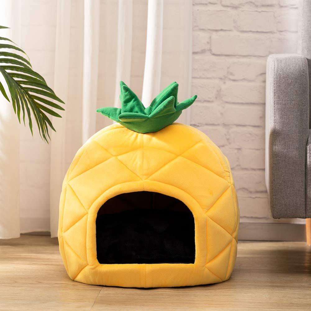 Hollypet comparaison avec chat montre taille adaptée jusqu'à 6,8kg