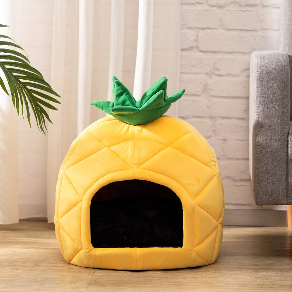 Hollypet comparaison avec chat montre taille adaptée jusqu'à 6,8kg