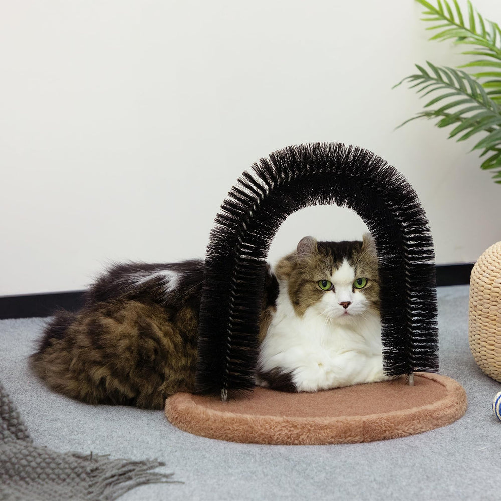 Hollypet détail de la fixation de la brosse vissée pour une utilisation plus sûre