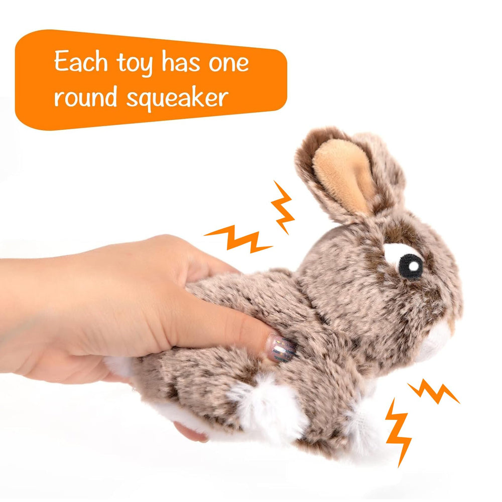 Hollypet jouet en usage par un chiot, favorise activité et apprentissage