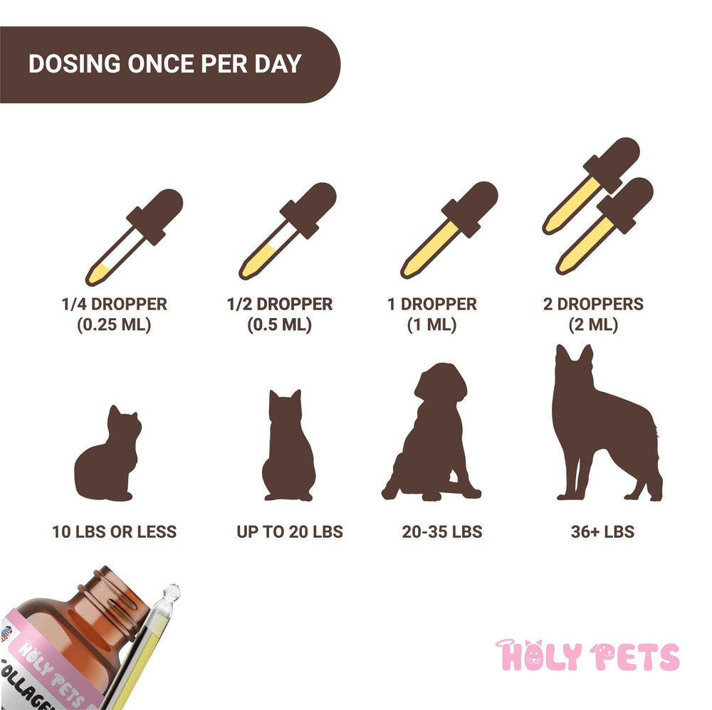 Holy Pets flacon utilisé sur la nourriture d'un chien pour facilité d'administration