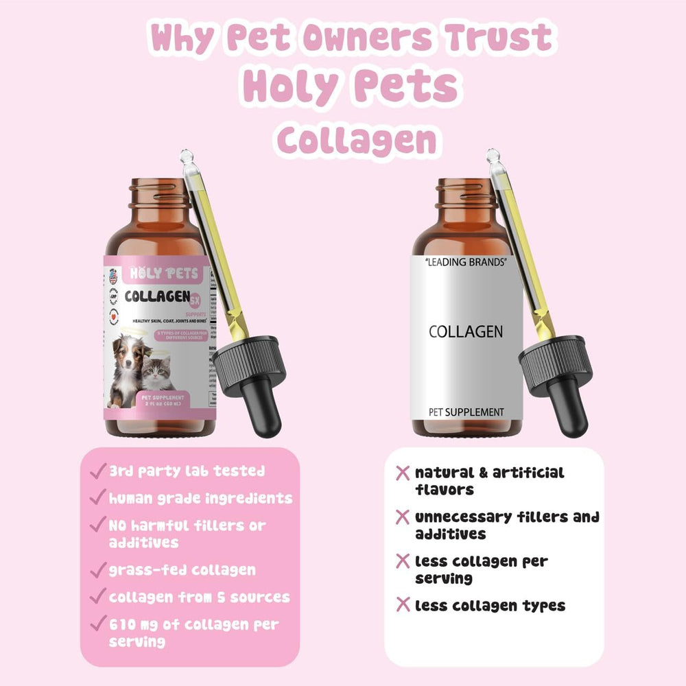 Holy Pets liquide vue rapprochée illustrant texture facilement mixable