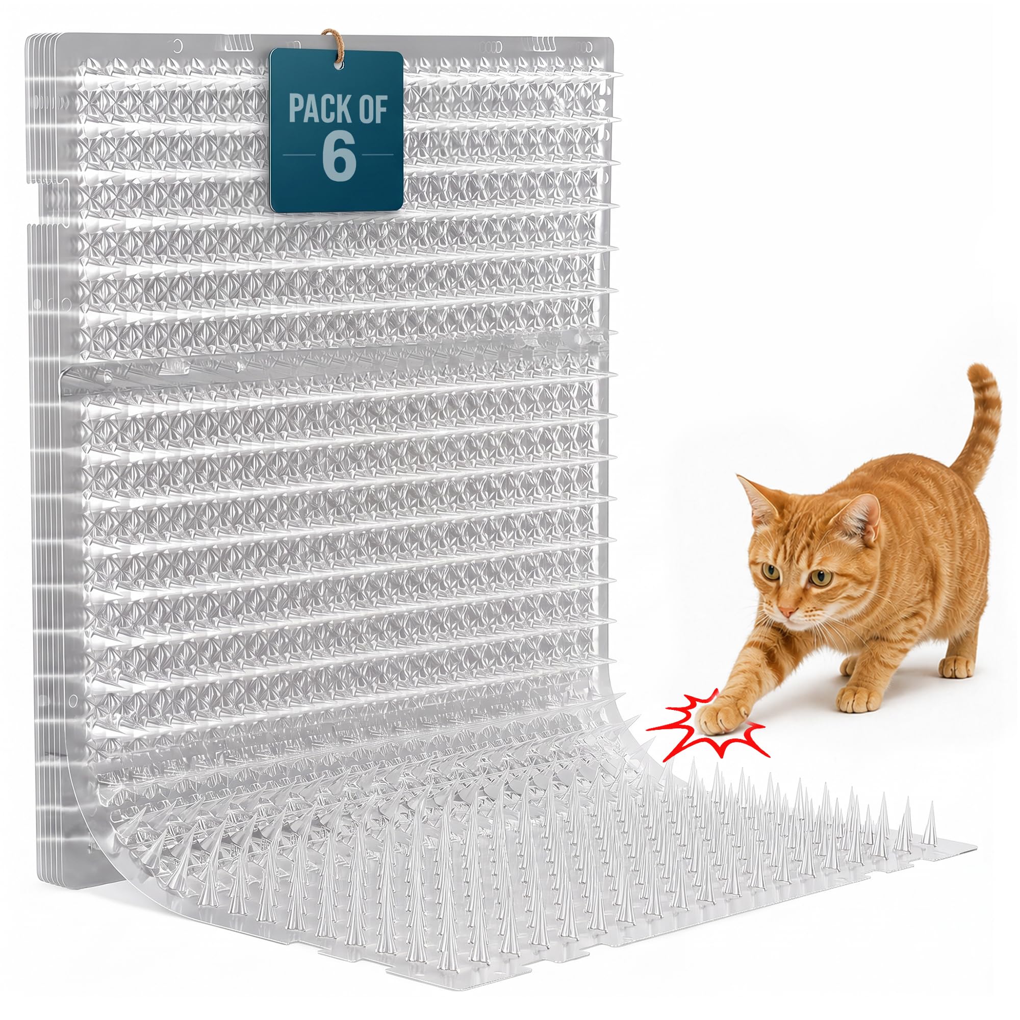 Homarden emballage du pack de 6 montrant protection pratique