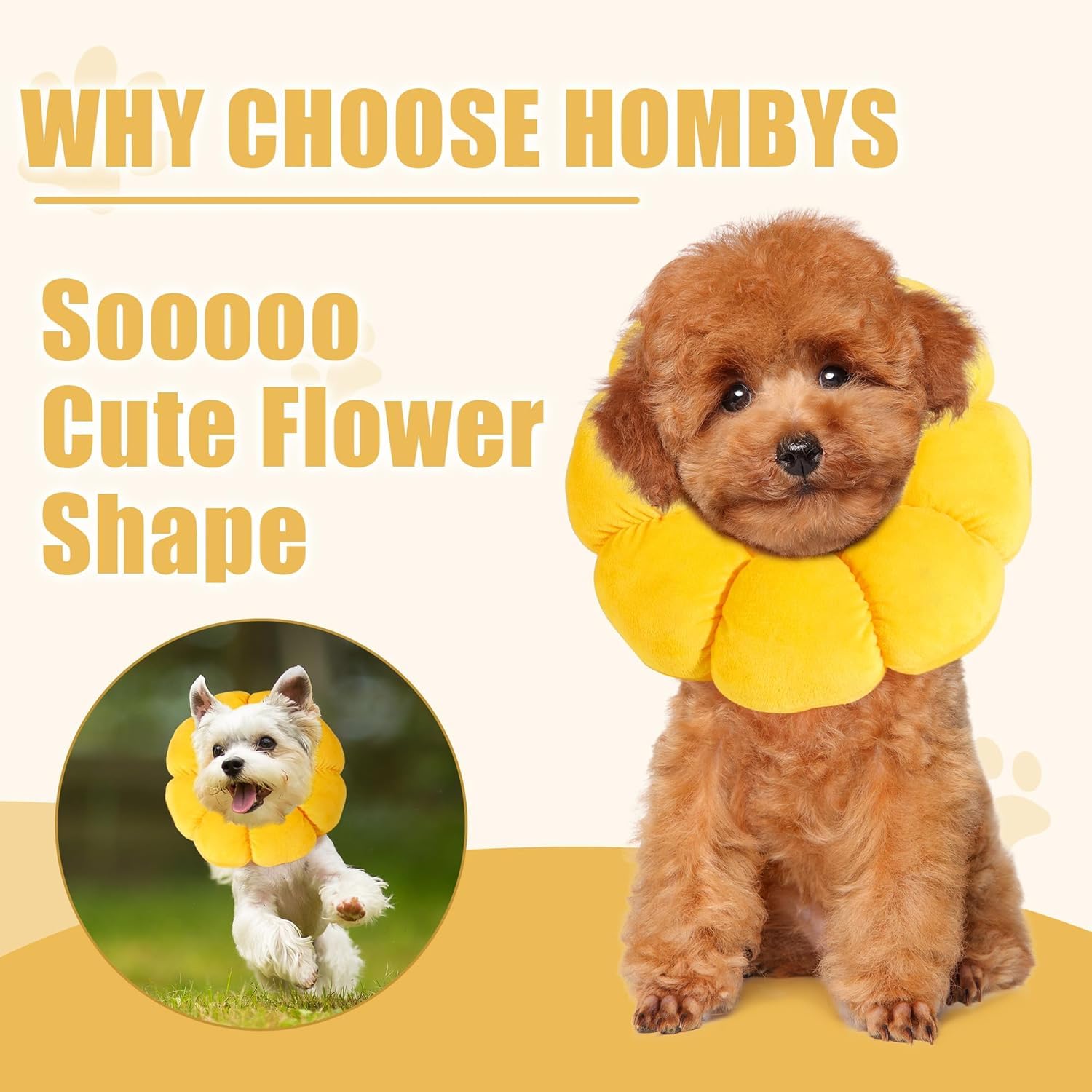 HOMBYS collier porté sur chien, favorise guérison sans gêner le mouvement