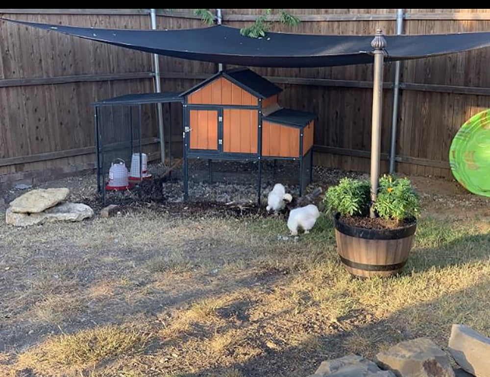 HomeABC bâche sur terrasse protégeant meubles et invités du soleil
