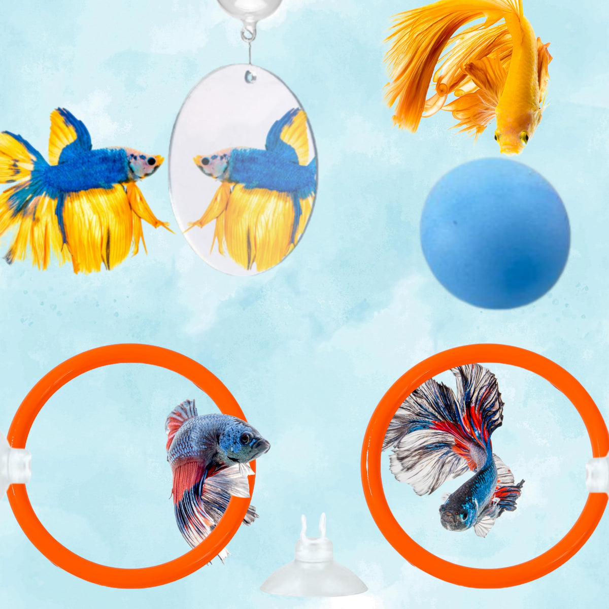 Homedy Crafts face avant du kit montrant tous les composants et bénéfice d'entraînement