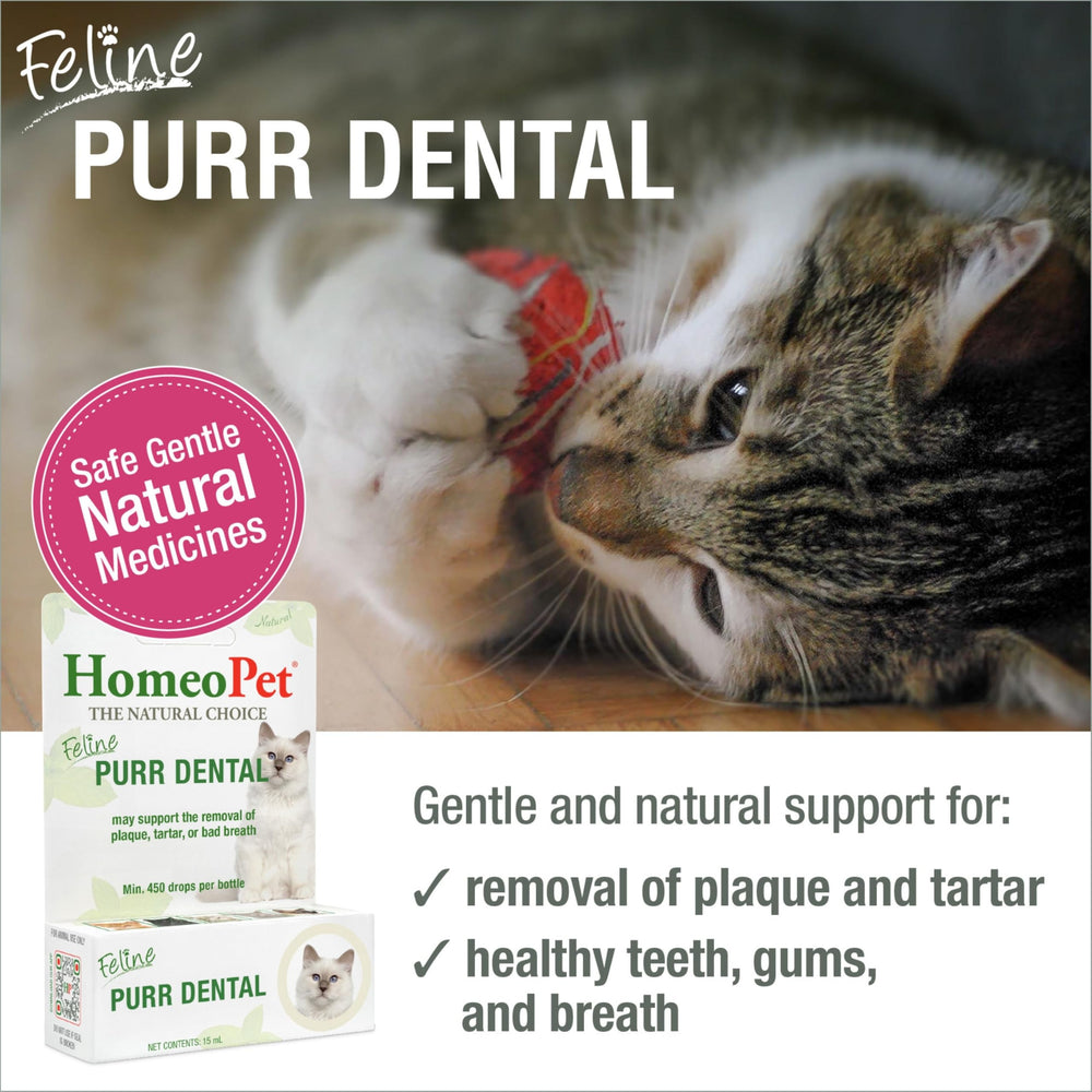 HomeoPet détail d’étiquette Feline Purr Dental indiquant ingrédients homéopathiques doux