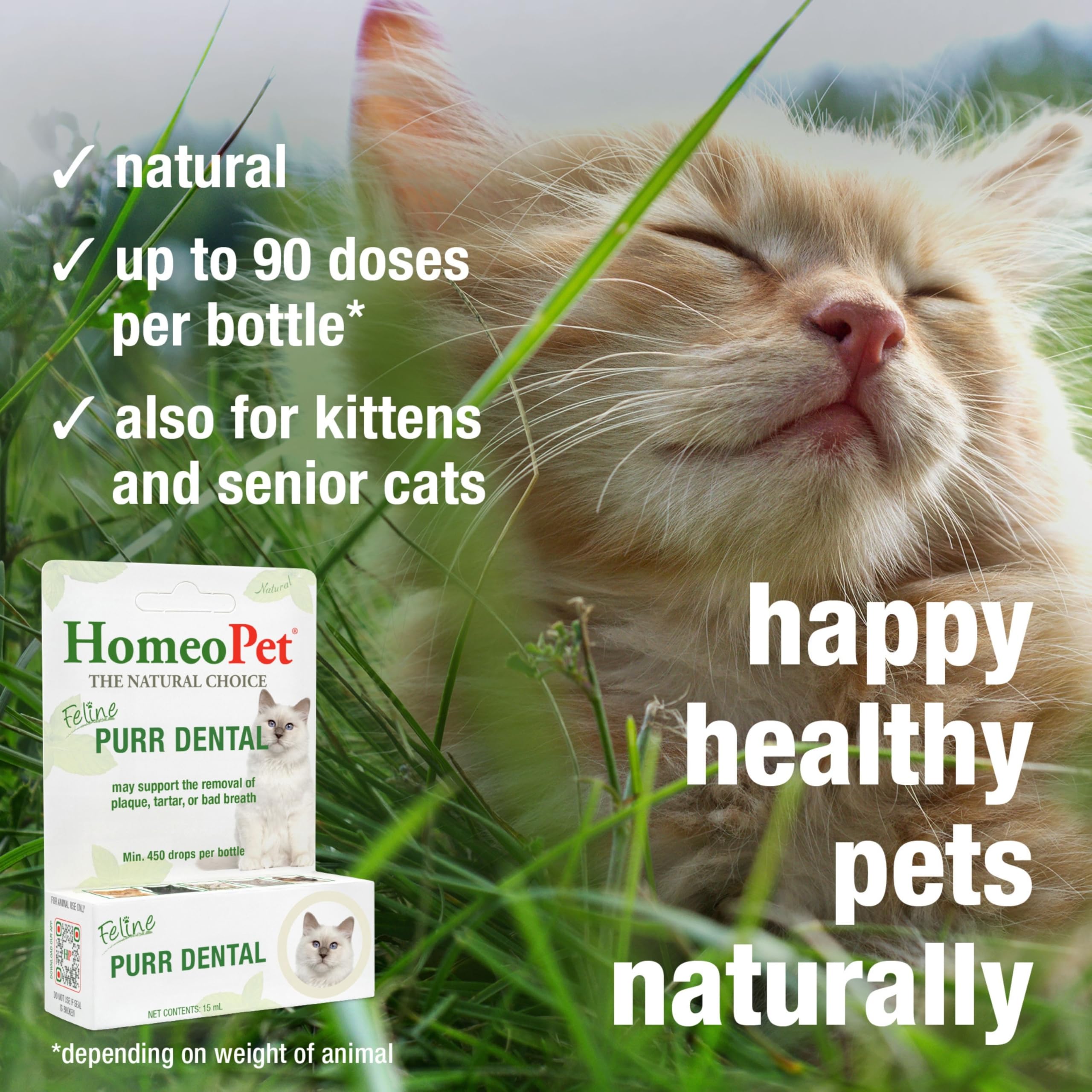 HomeoPet gros plan liquide Feline Purr Dental illustrant texture claire et dosage sûr