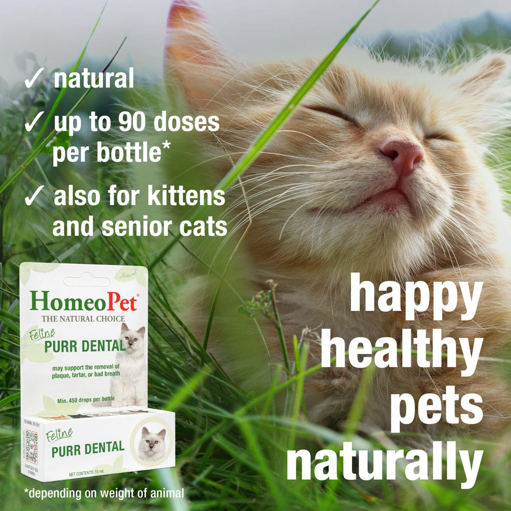 HomeoPet gros plan liquide Feline Purr Dental illustrant texture claire et dosage sûr