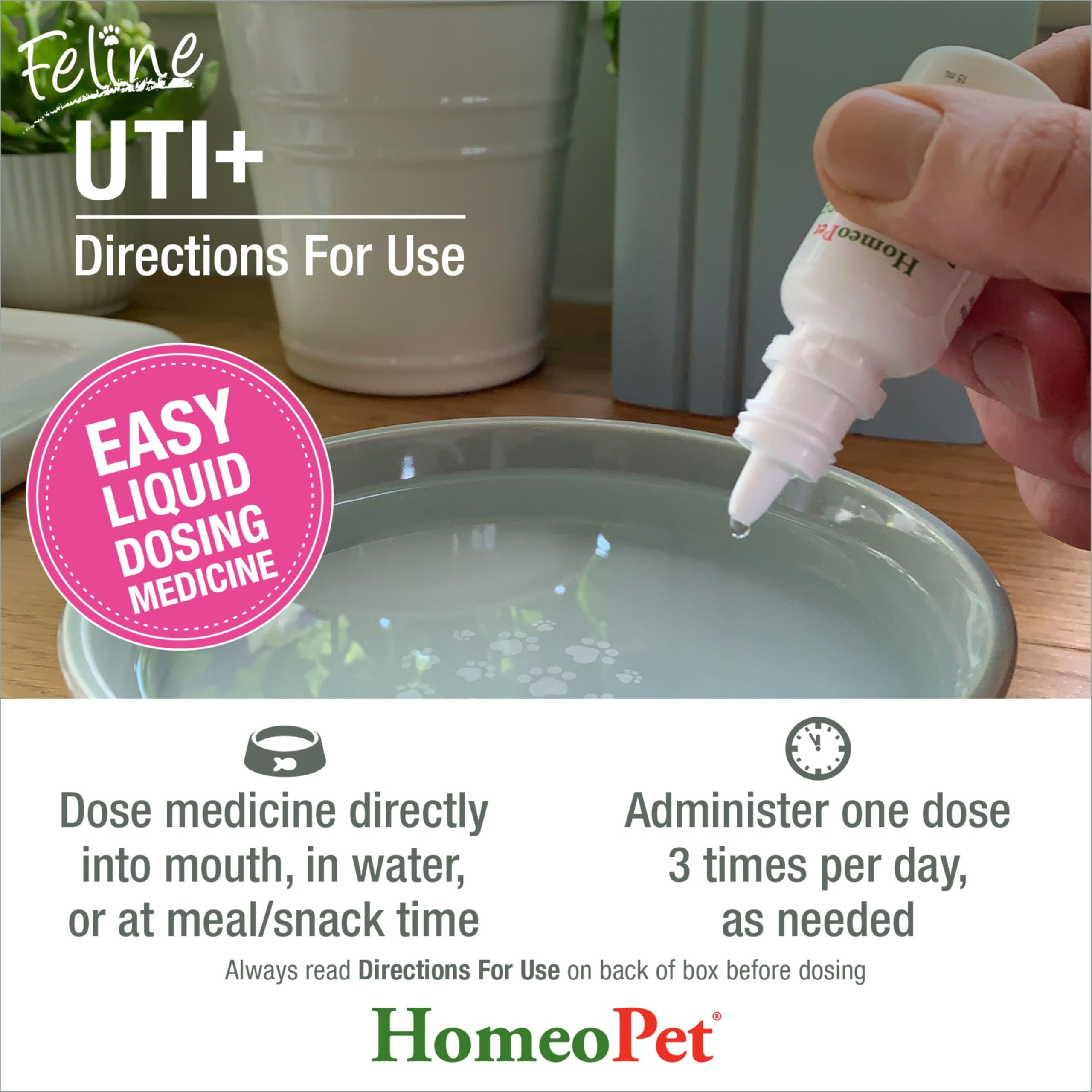 HomeoPet chat boit eau mélangée au complément pour confort urinaire