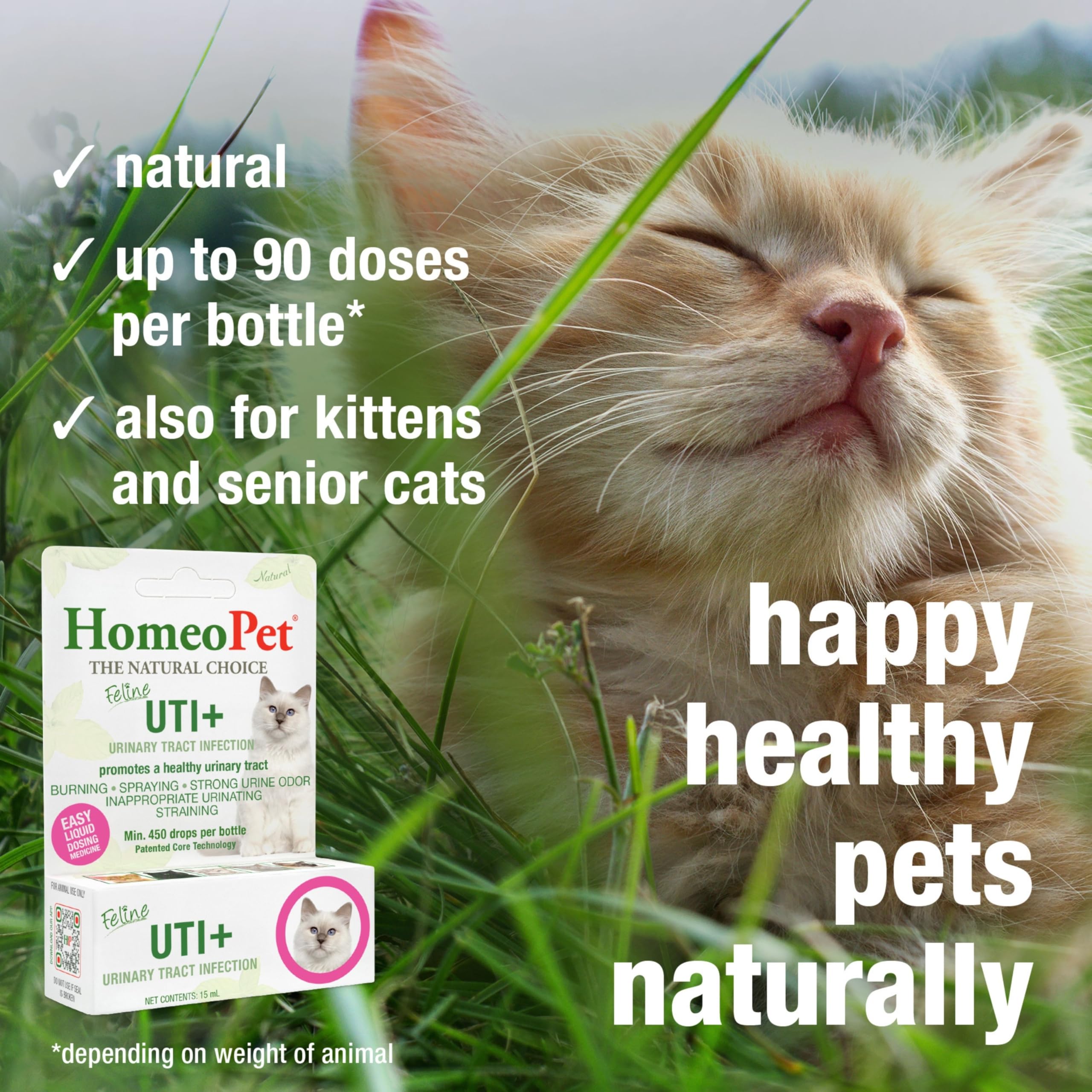 HomeoPet dosage sur cuillère illustrant posologie pratique pour chat